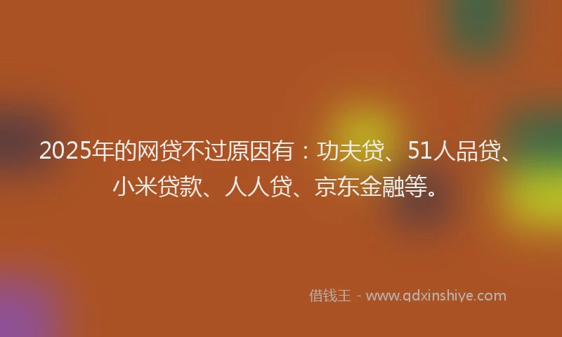 2025年的网贷不过原因有：功夫贷、51人品贷、小米贷款、人人贷、京东金融等。