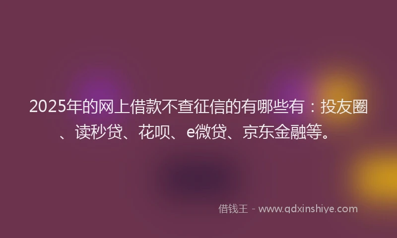 2025年的网上借款不查征信的有哪些有：投友圈、读秒贷、花呗、e微贷、京东金融等。