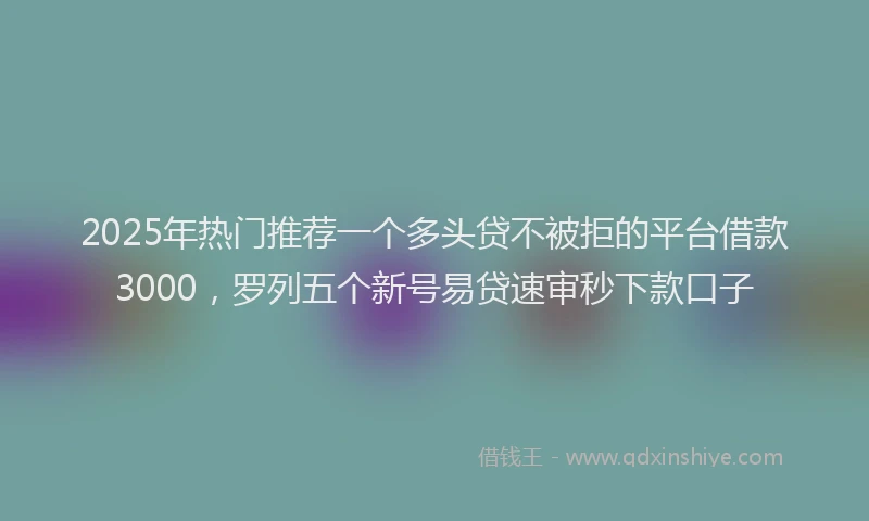2025年热门推荐一个多头贷不被拒的平台借款3000，罗列五个新号易贷速审秒下款口子