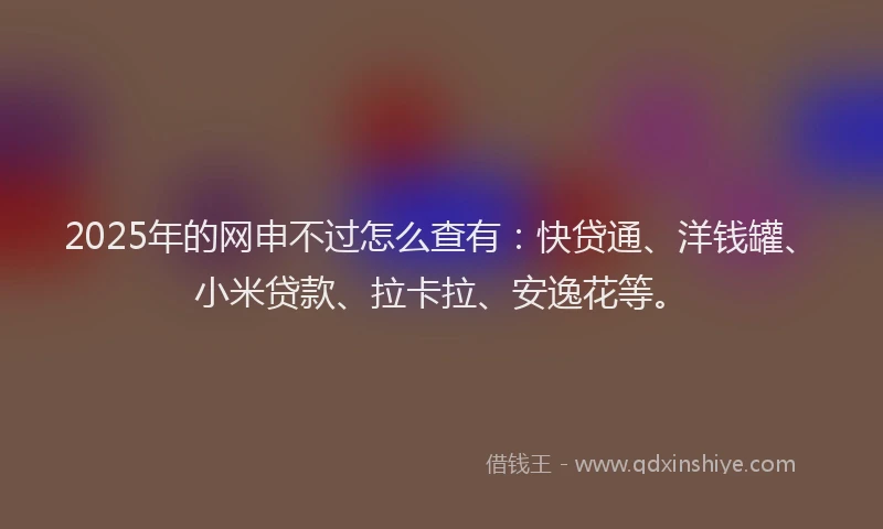 2025年的网申不过怎么查有：快贷通、洋钱罐、小米贷款、拉卡拉、安逸花等。