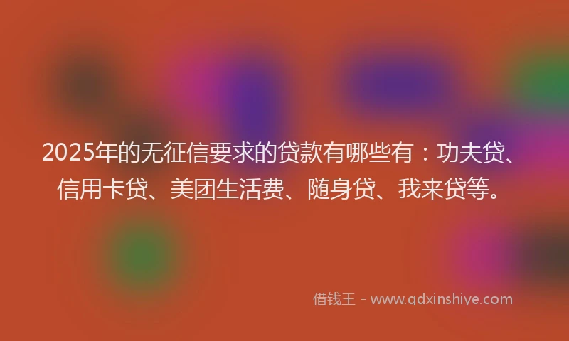 2025年的无征信要求的贷款有哪些有：功夫贷、信用卡贷、美团生活费、随身贷、我来贷等。