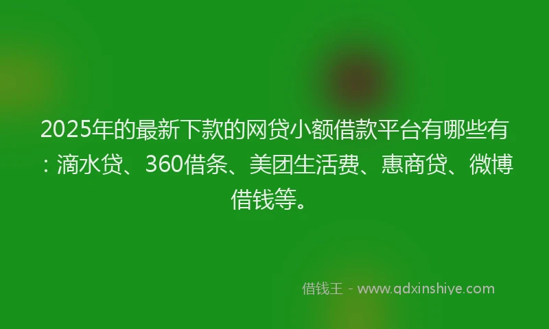 2025年的最新下款的网贷小额借款平台有哪些有：滴水贷、360借条、美团生活费、惠商贷、微博借钱等。