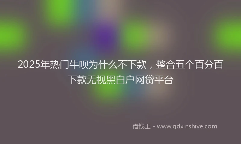 2025年热门牛呗为什么不下款，整合五个百分百下款无视黑白户网贷平台