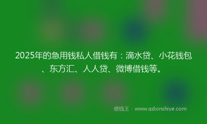2025年的急用钱私人借钱有：滴水贷、小花钱包、东方汇、人人贷、微博借钱等。