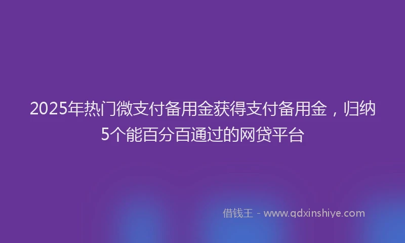 2025年热门微支付备用金获得支付备用金，归纳5个能百分百通过的网贷平台