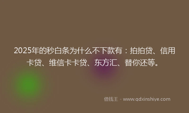 2025年的秒白条为什么不下款有：拍拍贷、信用卡贷、维信卡卡贷、东方汇、替你还等。