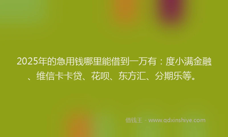 2025年的急用钱哪里能借到一万有：度小满金融、维信卡卡贷、花呗、东方汇、分期乐等。