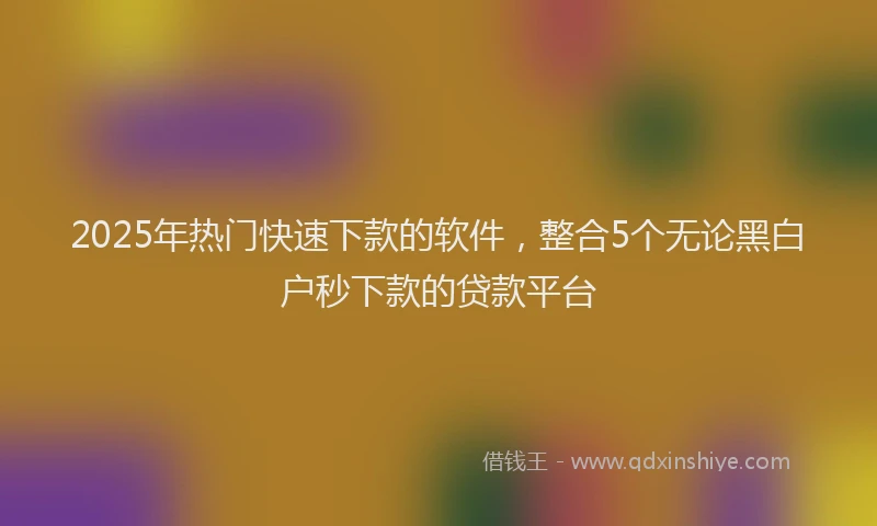 2025年热门快速下款的软件，整合5个无论黑白户秒下款的贷款平台
