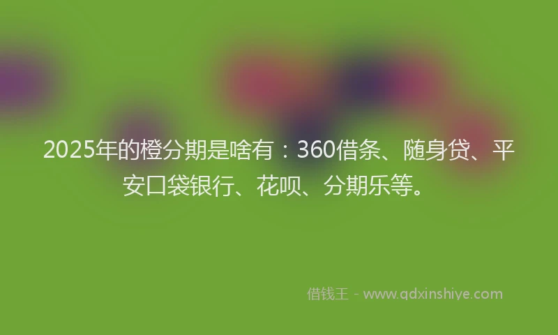2025年的橙分期是啥有：360借条、随身贷、平安口袋银行、花呗、分期乐等。