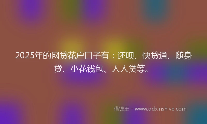 2025年的网贷花户口子有：还呗、快贷通、随身贷、小花钱包、人人贷等。