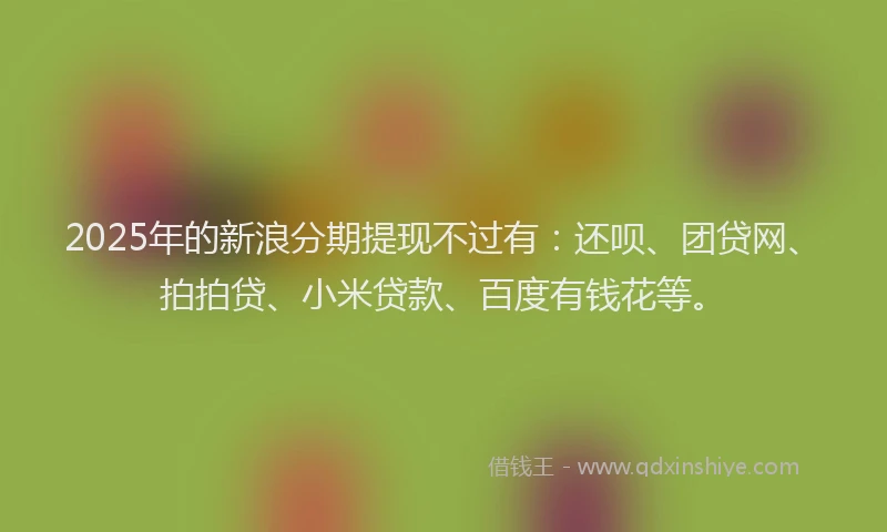 2025年的新浪分期提现不过有：还呗、团贷网、拍拍贷、小米贷款、百度有钱花等。