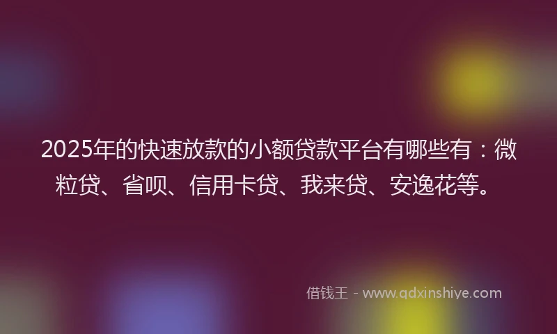 2025年的快速放款的小额贷款平台有哪些有：微粒贷、省呗、信用卡贷、我来贷、安逸花等。
