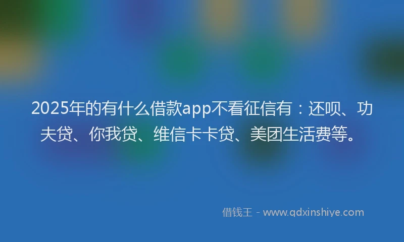 2025年的有什么借款app不看征信有：还呗、功夫贷、你我贷、维信卡卡贷、美团生活费等。