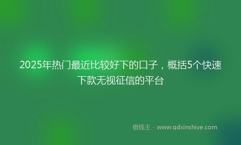 2025年热门最近比较好下的口子，概括5个快速下款无视征信的平台