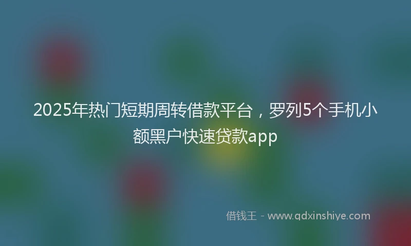 2025年热门短期周转借款平台，罗列5个手机小额黑户快速贷款app