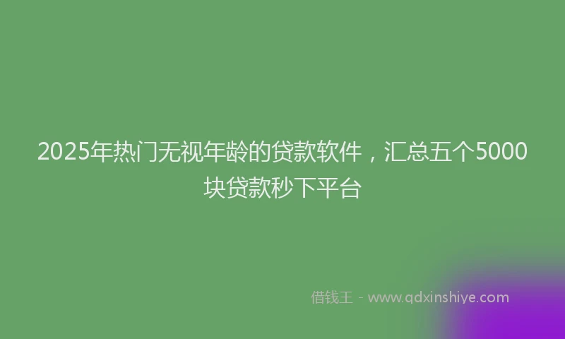 2025年热门无视年龄的贷款软件，汇总五个5000块贷款秒下平台