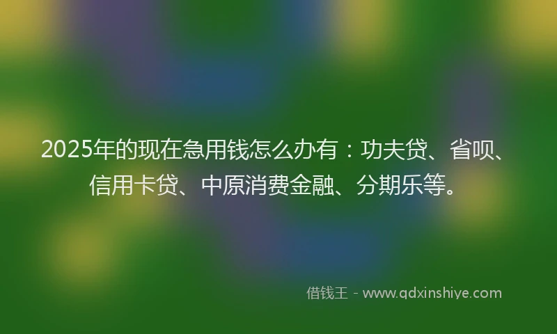 2025年的现在急用钱怎么办有：功夫贷、省呗、信用卡贷、中原消费金融、分期乐等。