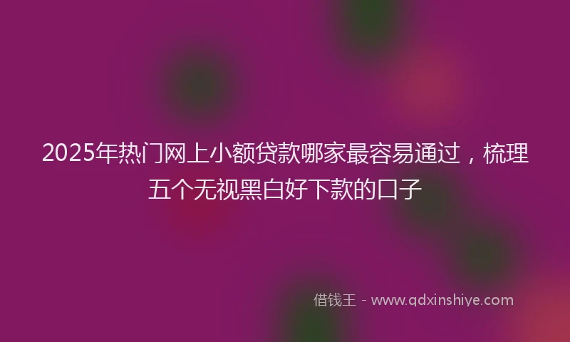2025年热门网上小额贷款哪家最容易通过，梳理五个无视黑白好下款的口子