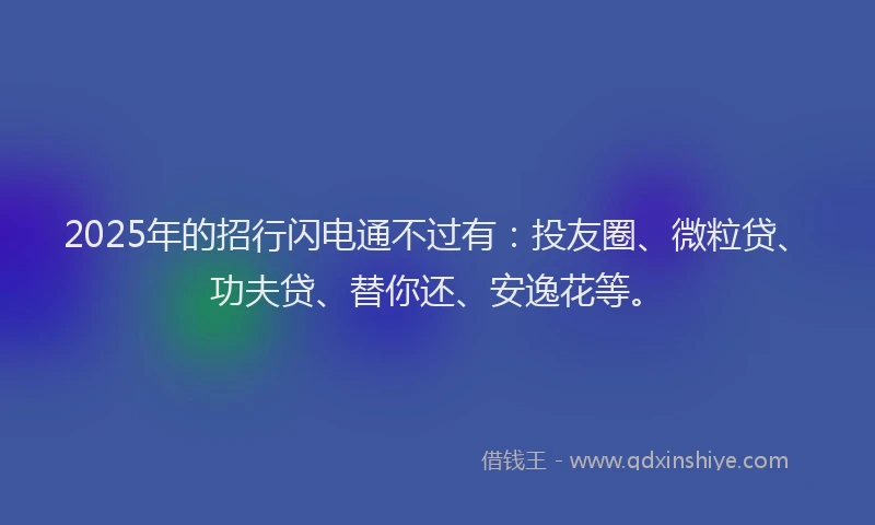 2025年的招行闪电通不过有：投友圈、微粒贷、功夫贷、替你还、安逸花等。
