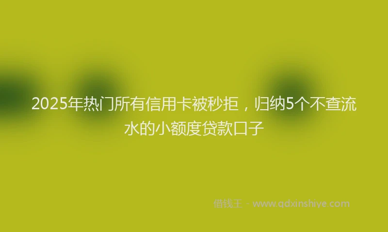 2025年热门所有信用卡被秒拒，归纳5个不查流水的小额度贷款口子
