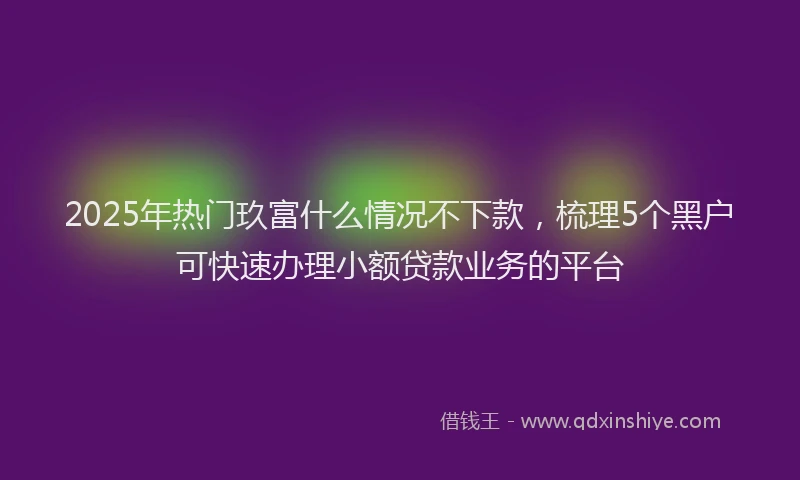 2025年热门玖富什么情况不下款，梳理5个黑户可快速办理小额贷款业务的平台
