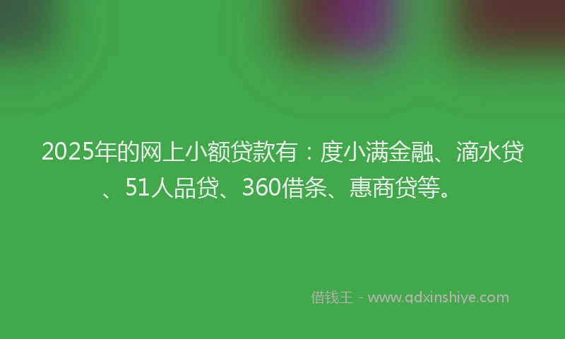 2025年的网上小额贷款有：度小满金融、滴水贷、51人品贷、360借条、惠商贷等。