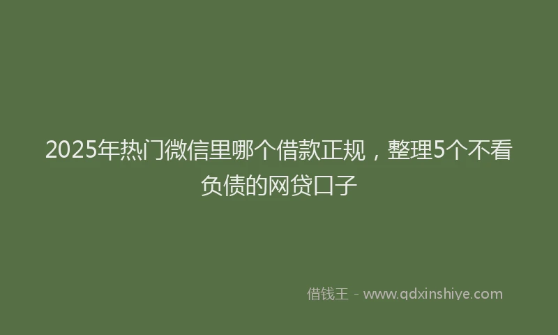 2025年热门微信里哪个借款正规，整理5个不看负债的网贷口子