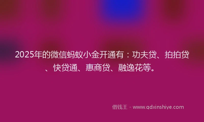 2025年的微信蚂蚁小金开通有：功夫贷、拍拍贷、快贷通、惠商贷、融逸花等。