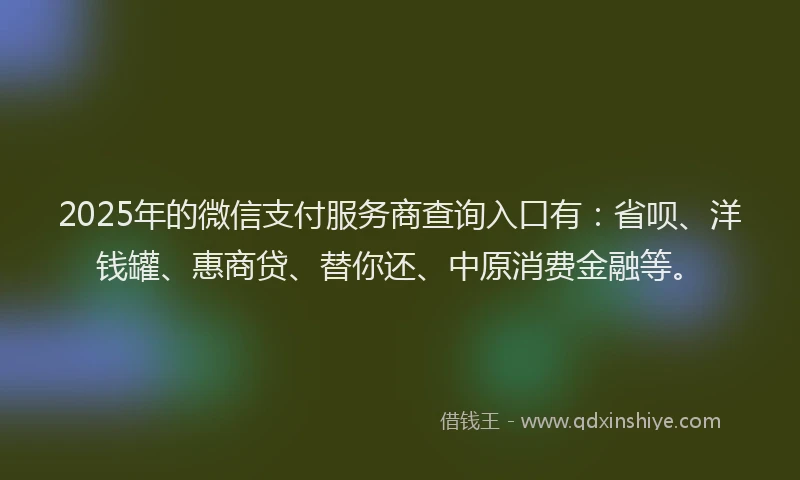 2025年的微信支付服务商查询入口有：省呗、洋钱罐、惠商贷、替你还、中原消费金融等。