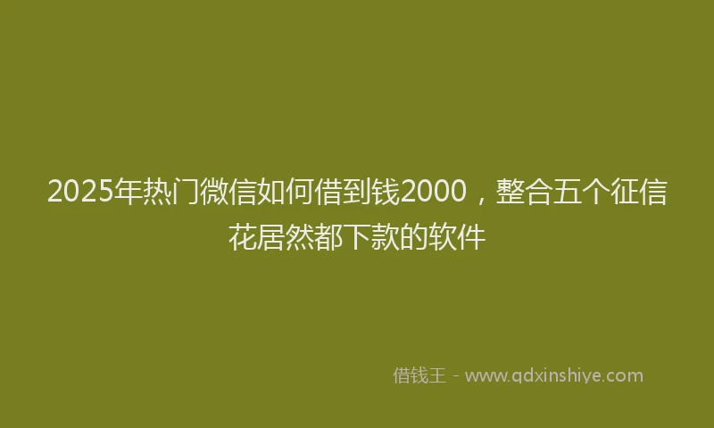 2025年热门微信如何借到钱2000，整合五个征信花居然都下款的软件