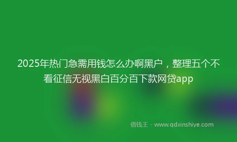 2025年热门急需用钱怎么办啊黑户，整理五个不看征信无视黑白百分百下款网贷app
