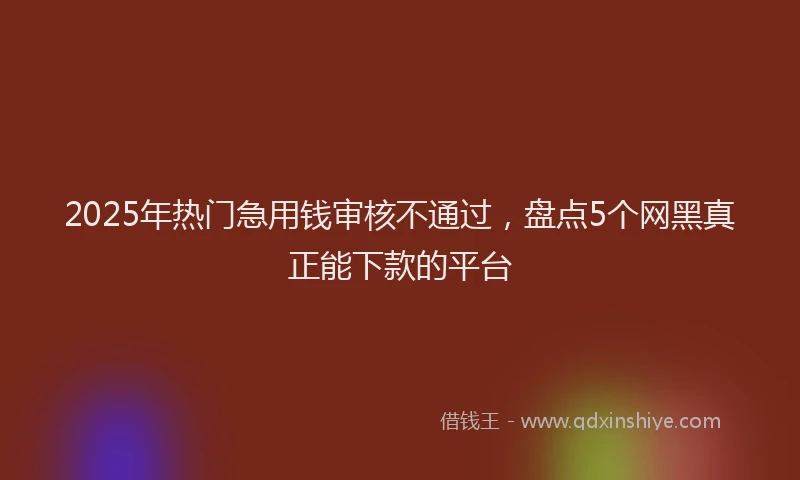 2025年热门急用钱审核不通过，盘点5个网黑真正能下款的平台