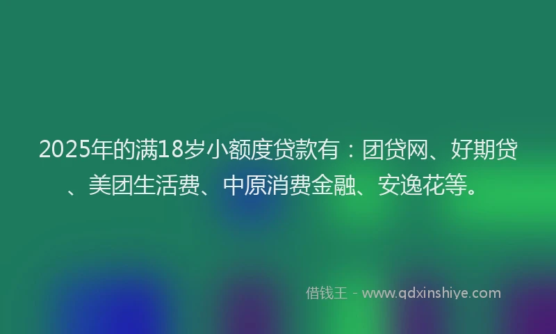 2025年的满18岁小额度贷款有：团贷网、好期贷、美团生活费、中原消费金融、安逸花等。