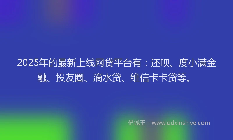 2025年的最新上线网贷平台有：还呗、度小满金融、投友圈、滴水贷、维信卡卡贷等。