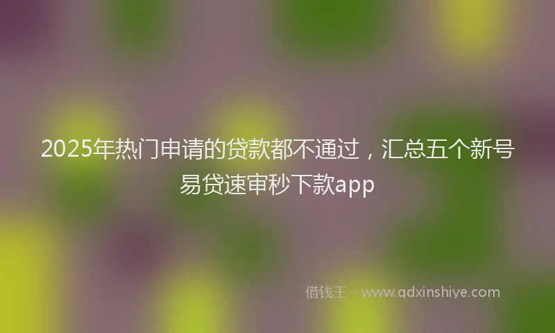 2025年热门申请的贷款都不通过，汇总五个新号易贷速审秒下款app
