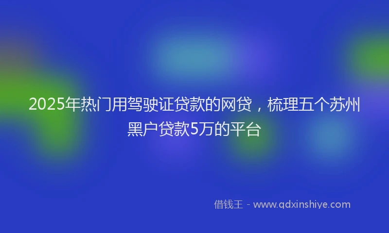 2025年热门用驾驶证贷款的网贷，梳理五个苏州黑户贷款5万的平台