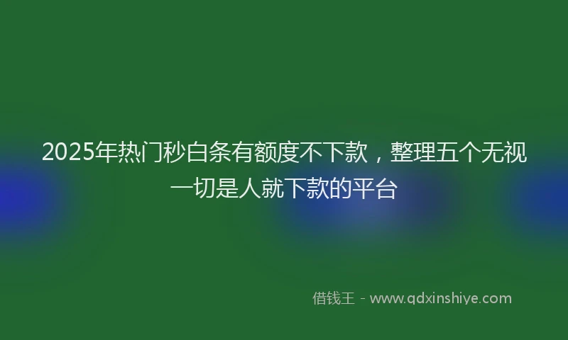 2025年热门秒白条有额度不下款，整理五个无视一切是人就下款的平台