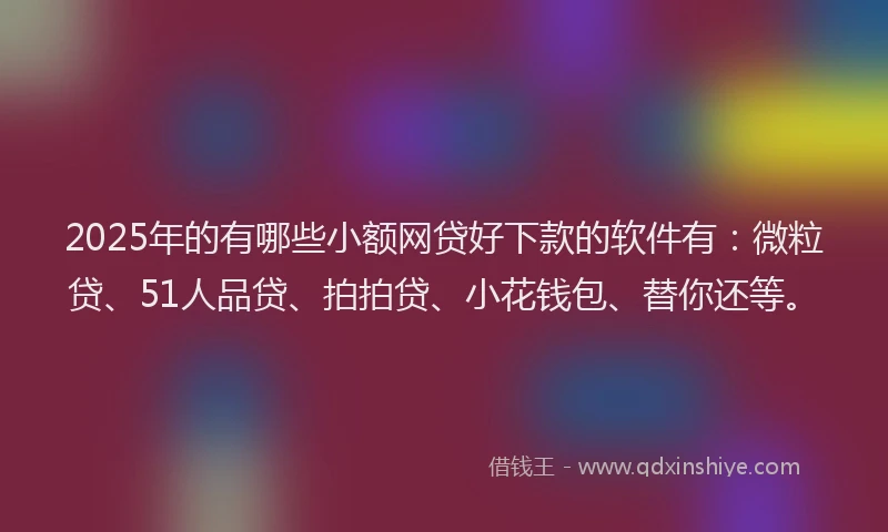 2025年的有哪些小额网贷好下款的软件有：微粒贷、51人品贷、拍拍贷、小花钱包、替你还等。