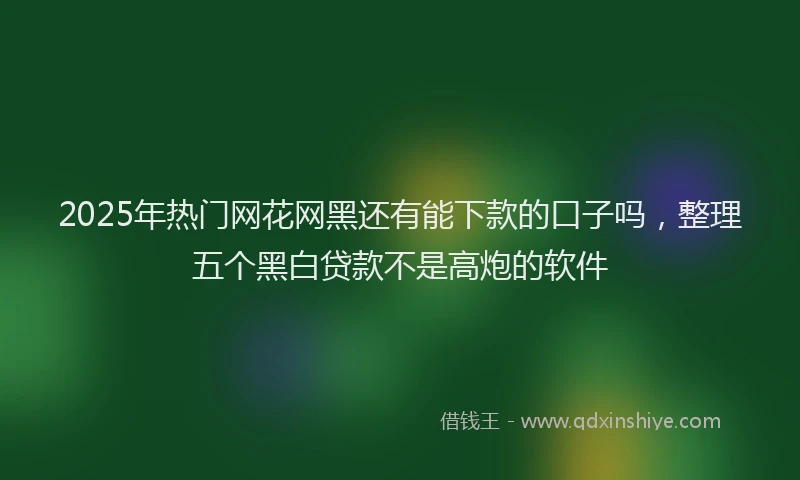 2025年热门网花网黑还有能下款的口子吗，整理五个黑白贷款不是高炮的软件