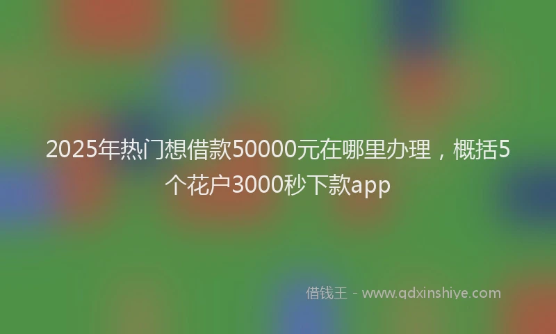 2025年热门想借款50000元在哪里办理，概括5个花户3000秒下款app