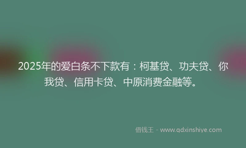 2025年的爱白条不下款有：柯基贷、功夫贷、你我贷、信用卡贷、中原消费金融等。