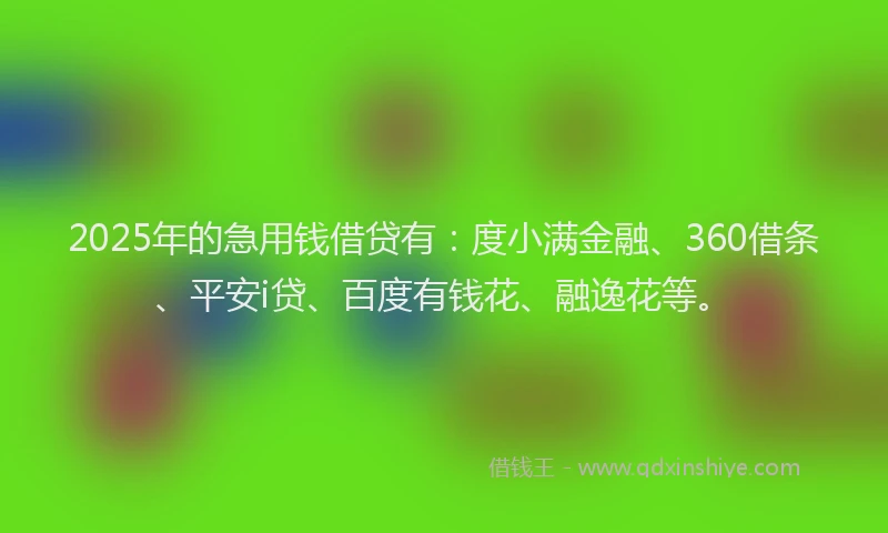2025年的急用钱借贷有：度小满金融、360借条、平安i贷、百度有钱花、融逸花等。