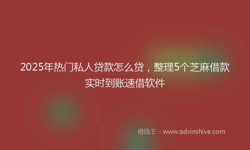 2025年热门私人贷款怎么贷，整理5个芝麻借款实时到账速借软件