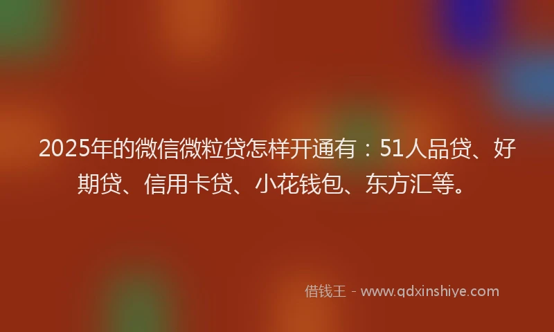 2025年的微信微粒贷怎样开通有：51人品贷、好期贷、信用卡贷、小花钱包、东方汇等。