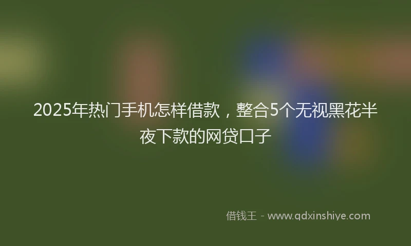 2025年热门手机怎样借款，整合5个无视黑花半夜下款的网贷口子