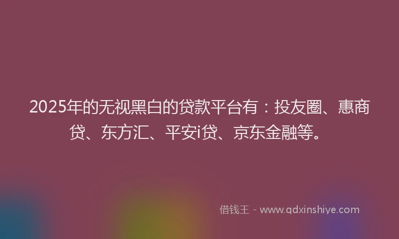 2025年的无视黑白的贷款平台有：投友圈、惠商贷、东方汇、平安i贷、京东金融等。