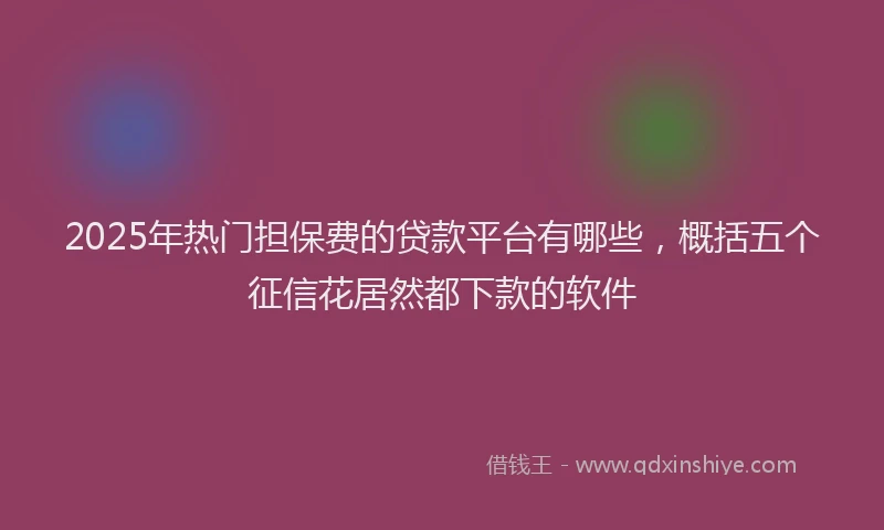 2025年热门担保费的贷款平台有哪些，概括五个征信花居然都下款的软件