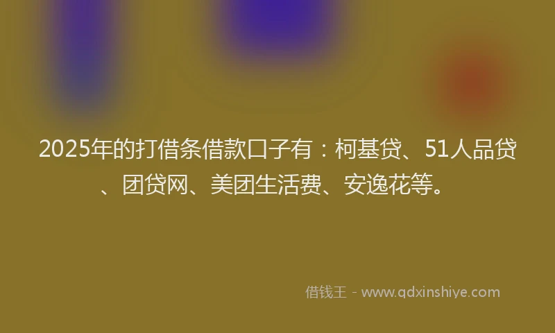 2025年的打借条借款口子有：柯基贷、51人品贷、团贷网、美团生活费、安逸花等。