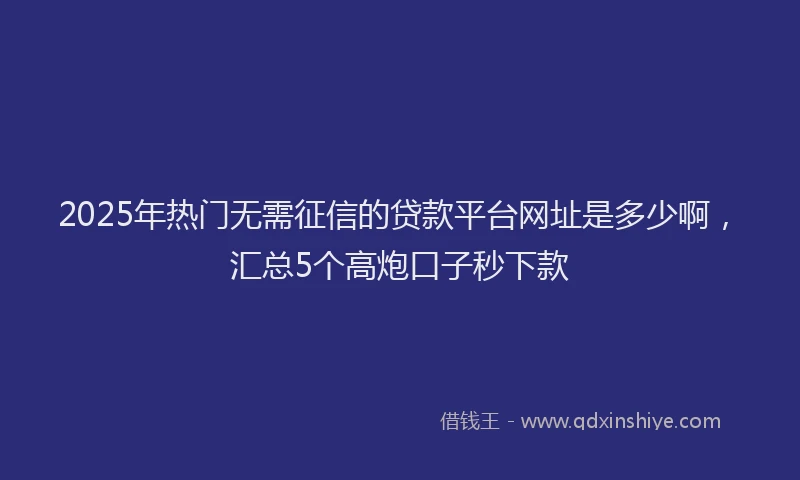 2025年热门无需征信的贷款平台网址是多少啊，汇总5个高炮口子秒下款