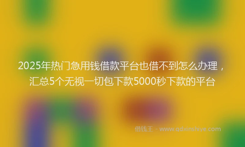 2025年热门急用钱借款平台也借不到怎么办理，汇总5个无视一切包下款5000秒下款的平台